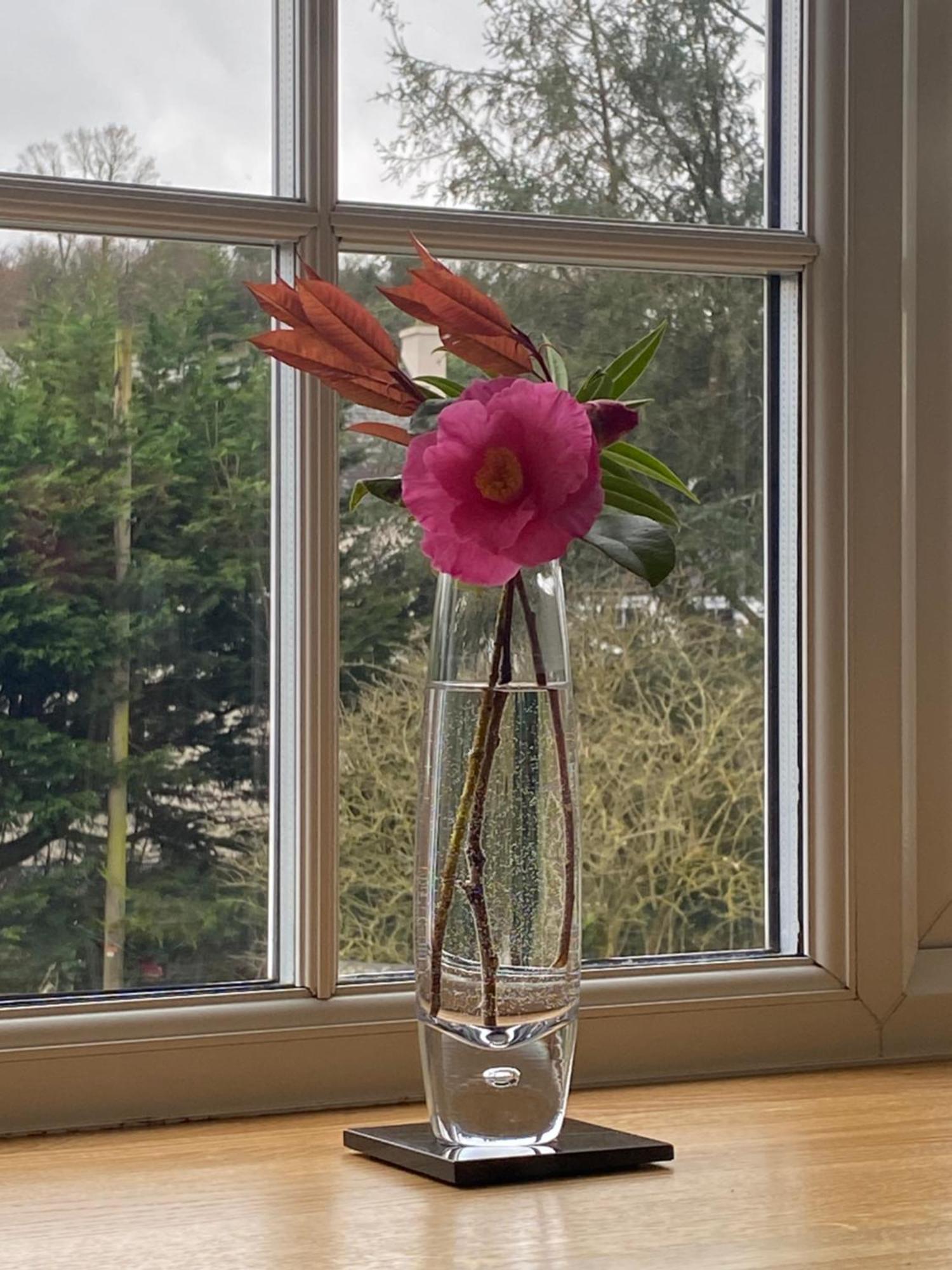 Bed & Breakfast Lynwood House Tregoney